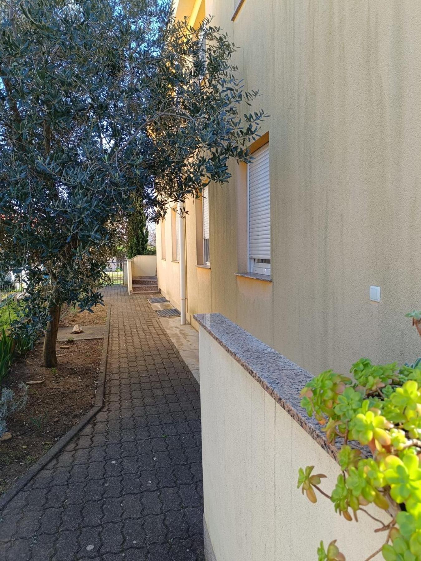 Apartments David - Sabunike Near Nin Privlaka  Bagian luar foto